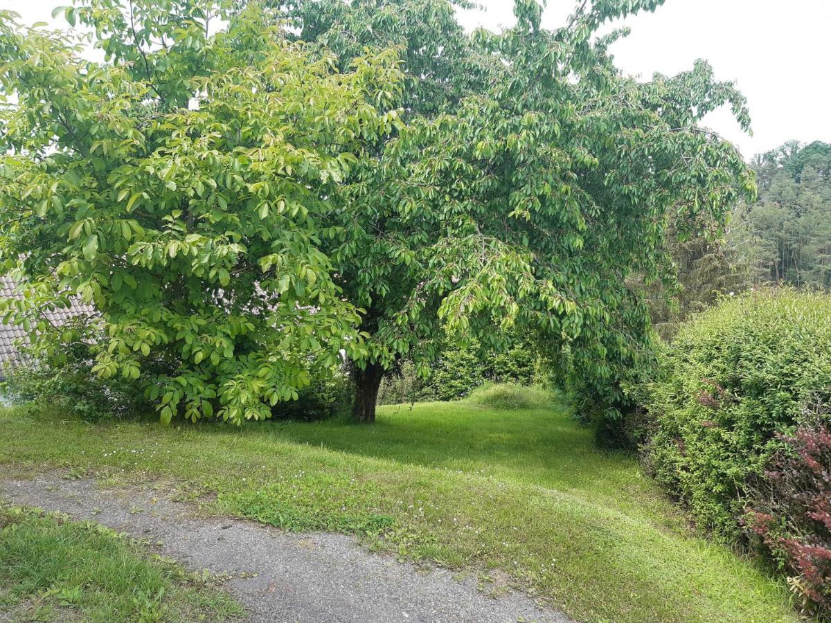 Ferienwohnung-Vivienne Hemfurth-Edersee Zewnętrze zdjęcie